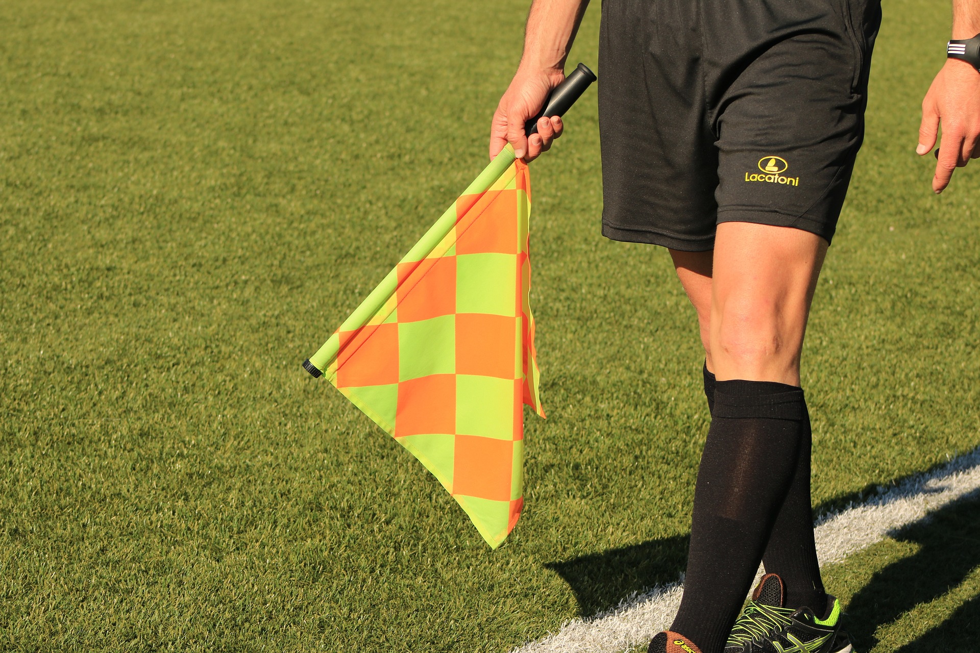Referee Fees 2024
